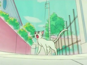 screenshot-anime-sailor-moon-super-s-episode-133-223.jpg