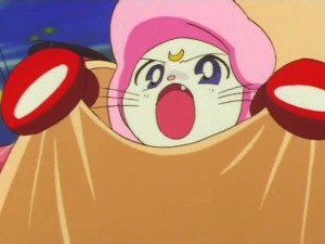 screenshot-anime-sailor-moon-super-s-episode-133-427.jpg