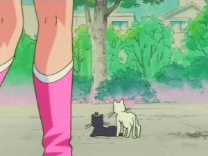 screenshot-anime-sailor-moon-super-s-episode-133-453.jpg