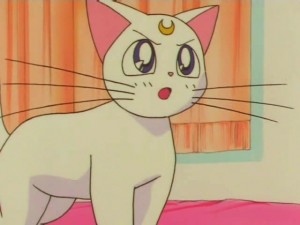 screenshot-anime-sailor-moon-super-s-episode-141-132.jpg