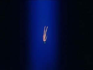 screenshot-anime-sailor-moon-super-s-episode-151-381.jpg