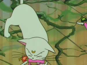 screenshot-anime-sailor-moon-super-s-episode-154-418.jpg