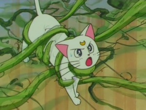 screenshot-anime-sailor-moon-super-s-episode-154-423.jpg