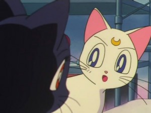 screenshot-anime-sailor-moon-super-s-episode-164-013.jpg