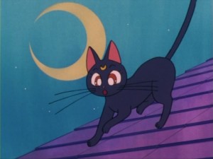 SailorMoon-s1-004(9).jpg