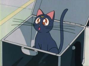 SailorMoon-s1-012(191).jpg