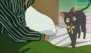 SailormoonS-movie (1220).jpg