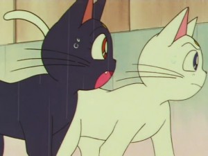 sailormoon-supers-142 (46).jpg