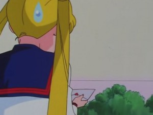 screenshot-anime-sailor-moon-sailor-stars-episode-178-048.JPG