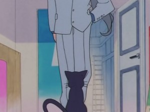 screenshot-anime-sailor-moon-sailor-stars-episode-178-181.JPG