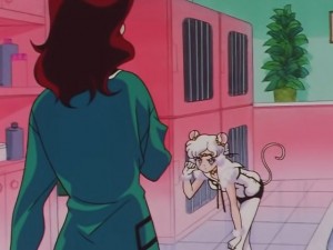screenshot-anime-sailor-moon-sailor-stars-episode-178-317.JPG