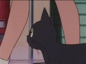 screenshot-anime-sailor-moon-sailor-stars-episode-182-103.JPG