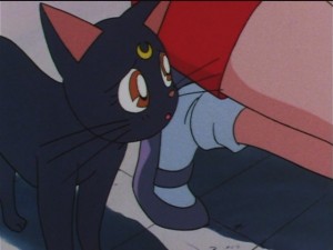 screenshot-anime-sailor-moon-sailor-stars-episode-182-119.JPG