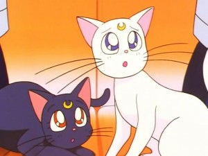 screenshot-anime-sailor-moon-sailor-stars-episode-192-036.jpg