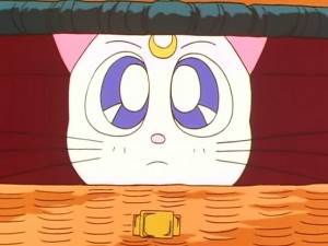 screenshot-anime-sailor-moon-sailor-stars-episode-192-228.jpg