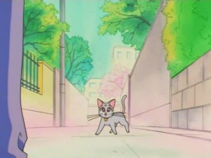 screenshot-anime-sailor-moon-super-s-episode-133-061.jpg