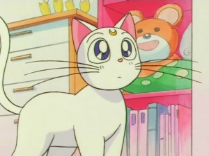 screenshot-anime-sailor-moon-super-s-episode-133-164.jpg