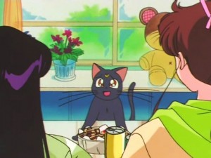 screenshot-anime-sailor-moon-super-s-episode-133-192.jpg