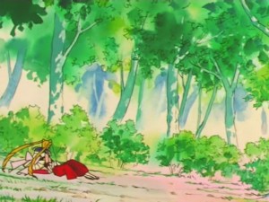 screenshot-anime-sailor-moon-super-s-episode-136-500.jpg