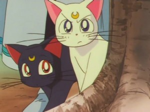 screenshot-anime-sailor-moon-super-s-episode-141-293.jpg