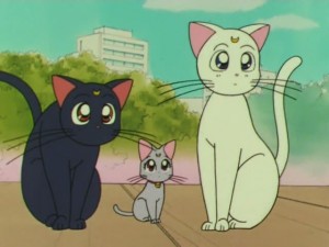 screenshot-anime-sailor-moon-super-s-episode-151-013.jpg