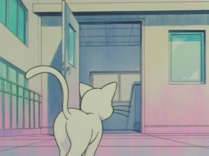 screenshot-anime-sailor-moon-super-s-episode-154-268.jpg