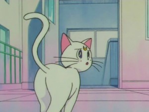 screenshot-anime-sailor-moon-super-s-episode-154-270.jpg
