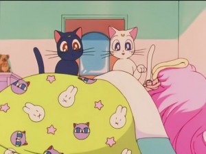 "Секрет" из 81 эпизода