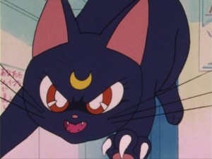 SailorMoon-s1-004(277).jpg
