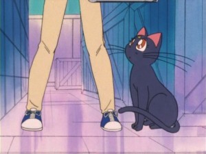SailorMoon-s1-012(156).jpg