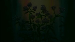 Sailormoon-R (104).jpg