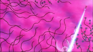 Sailormoon-R (1188).jpg