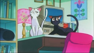 Sailormoon-R (335).jpg