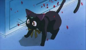 SailormoonS-movie (1018).jpg