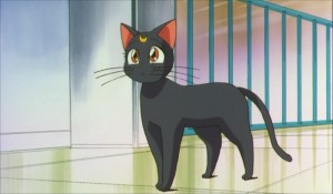 SailormoonS-movie (2053).jpg