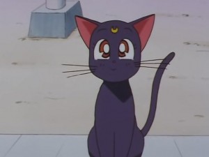 screenshot-anime-sailor-moon-sailor-stars-episode-178-097.JPG