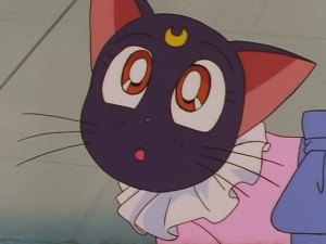 screenshot-anime-sailor-moon-sailor-stars-episode-178-377.JPG