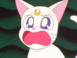 screenshot-anime-sailor-moon-sailor-stars-episode-192-013.jpg