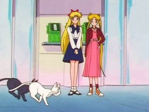 screenshot-anime-sailor-moon-sailor-stars-episode-192-460.jpg