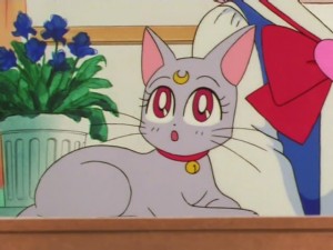 screenshot-anime-sailor-moon-super-s-episode-137-214.jpg