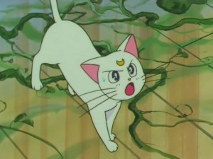 screenshot-anime-sailor-moon-super-s-episode-154-422.jpg