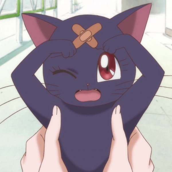 usagi-meets-luna-anime-crystal.jpg