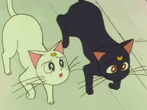 sailormoon-supers-142 (229).jpg