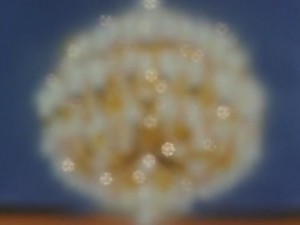 sailormoon-supers-159 (342).JPG