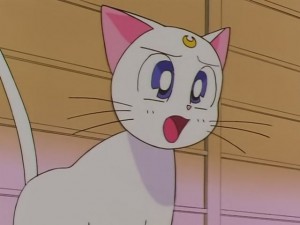 screenshot-anime-sailor-moon-sailor-stars-episode-178-099.JPG