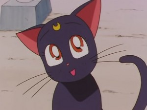 screenshot-anime-sailor-moon-sailor-stars-episode-178-102.JPG