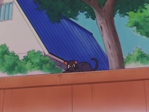 screenshot-anime-sailor-moon-sailor-stars-episode-178-105.JPG