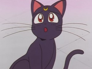screenshot-anime-sailor-moon-sailor-stars-episode-191-107.JPG