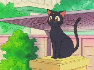 screenshot-anime-sailor-moon-super-s-episode-133-050.jpg