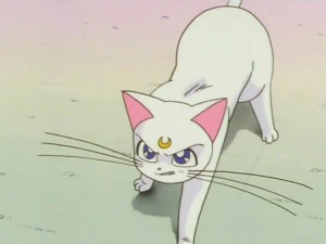 screenshot-anime-sailor-moon-super-s-episode-133-328.jpg